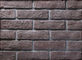 Building Thin Veneer Brick Wall With Size 205x55x12mm , Wear Resistance