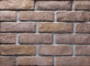 Decoration Wall Thin Veneer Brick , Antique Texture Fire Clay Bricks For Building