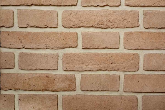 Special Surface Range Of Colors Size 200x55x12mm Clay Brick For Wall Decoration Inside And Outside